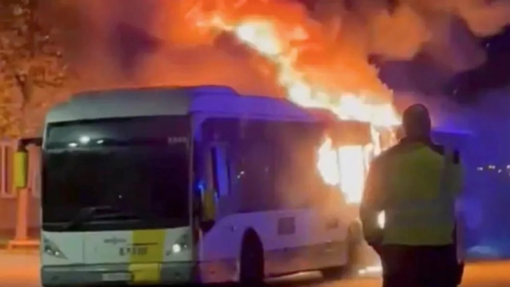 20251105205250 big 730x400 61.webp.webp