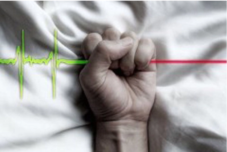 20251123081936 big 730x400 68.webp.webp