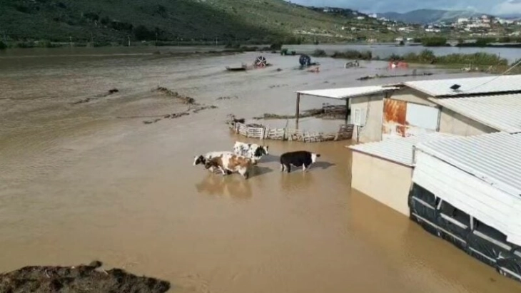 20251123123626 big 730x400 74.webp.webp