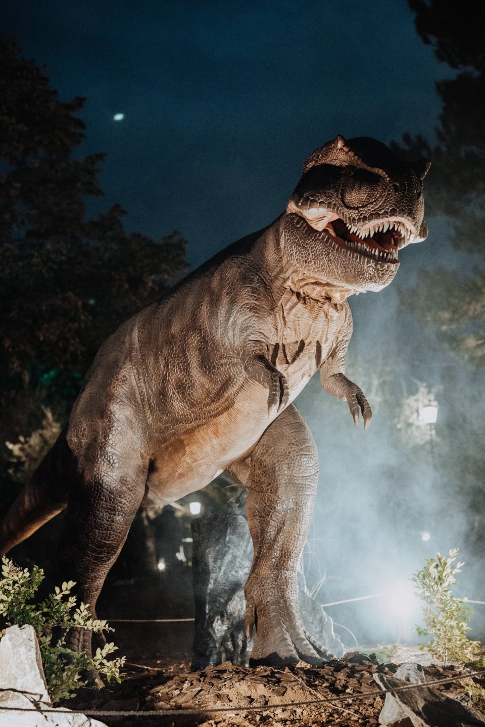 562396357 1428188882647908 9002499344051186053 n.jpg