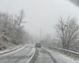 5c77452d 5b65 44e0 8073 7796bc1a8b73.jpeg