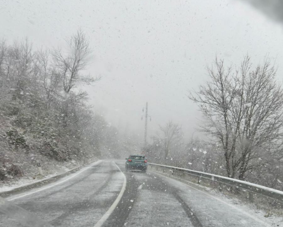 5c77452d 5b65 44e0 8073 7796bc1a8b73.jpeg