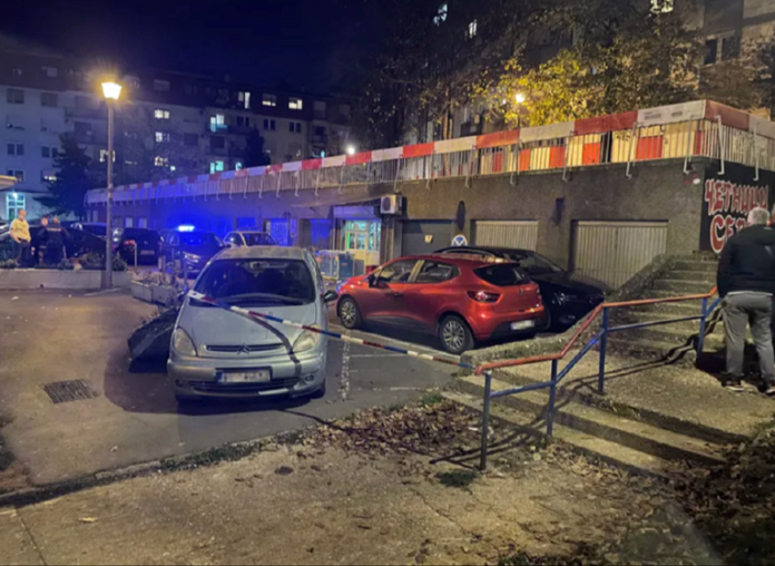 Dvs 696x508 1.avif.avif