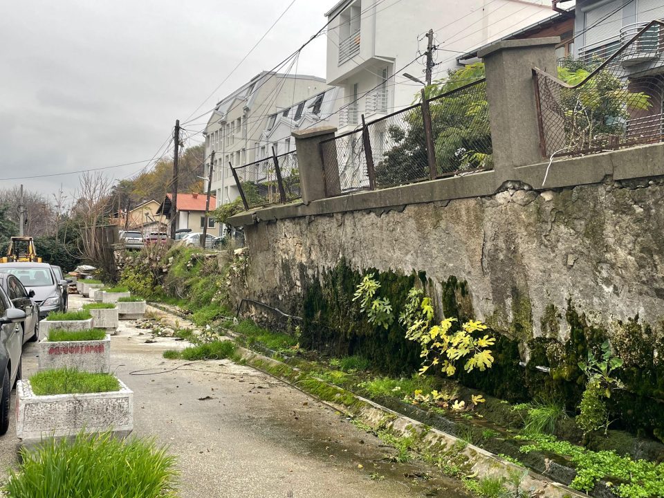 E840efd9 f545 48f0 9f3f c5bb84de755a.jpeg