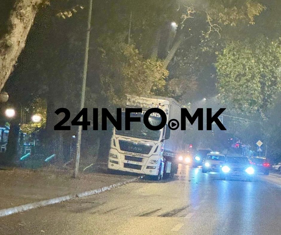 Fef0ea0b e1ec 464e 9864 7403d434bef2.jpeg