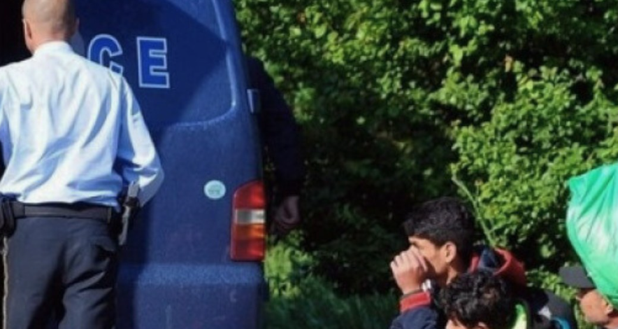 Image 2025 11 11 100844432.png