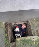 Image 2025 11 20 141410979.png