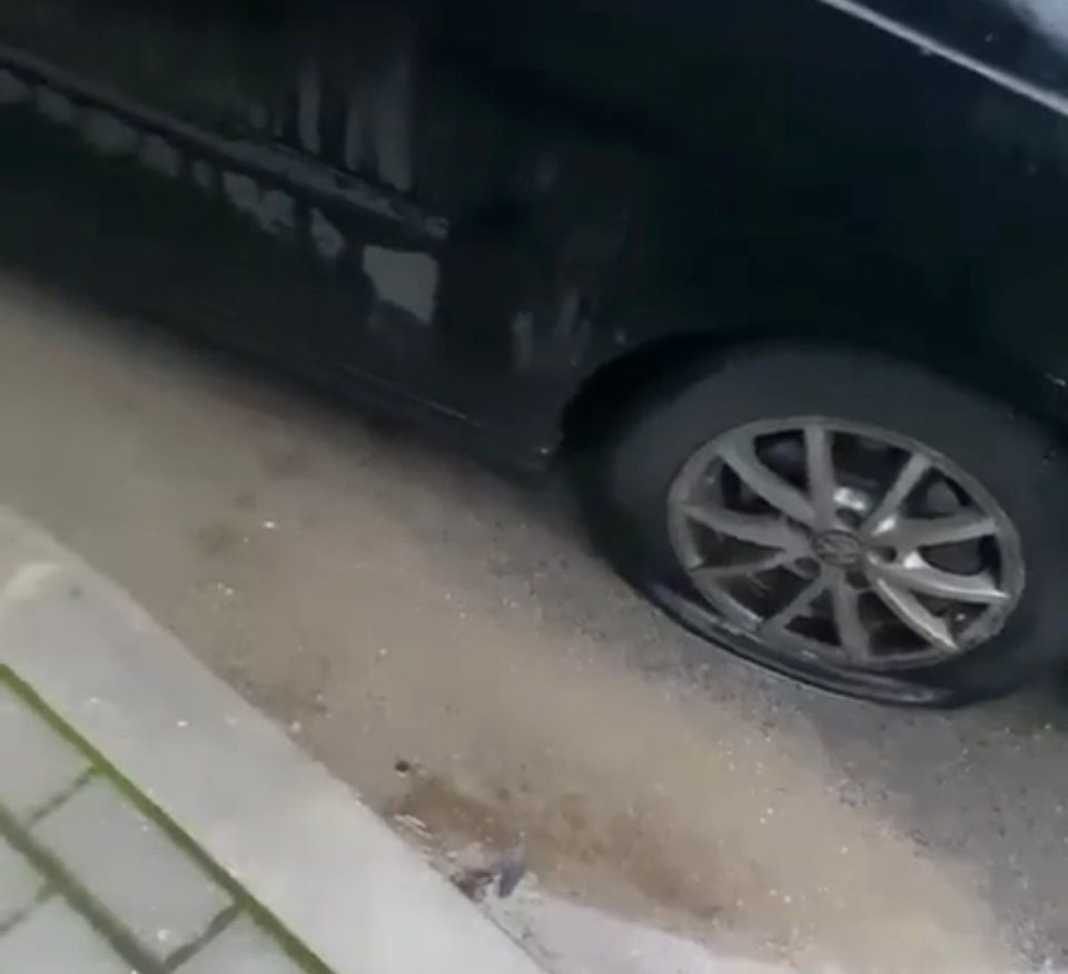 Img 20251119 wa0087.jpg