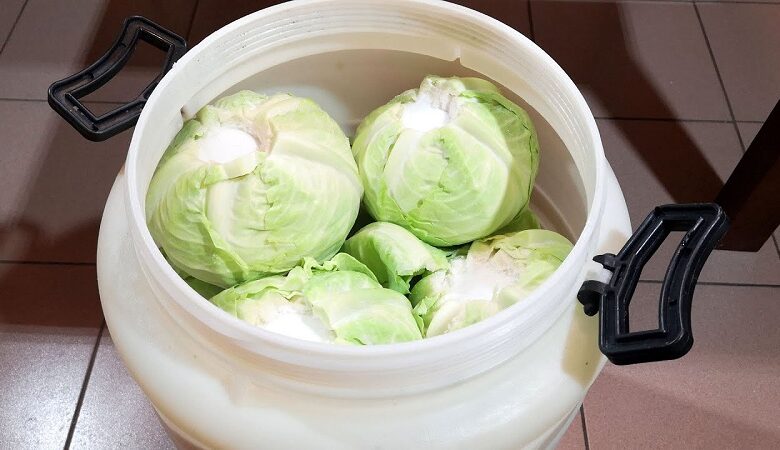 Kisela zelka 780x450 1.jpg