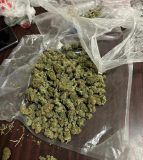 Marihuana zaplena 5.jpg