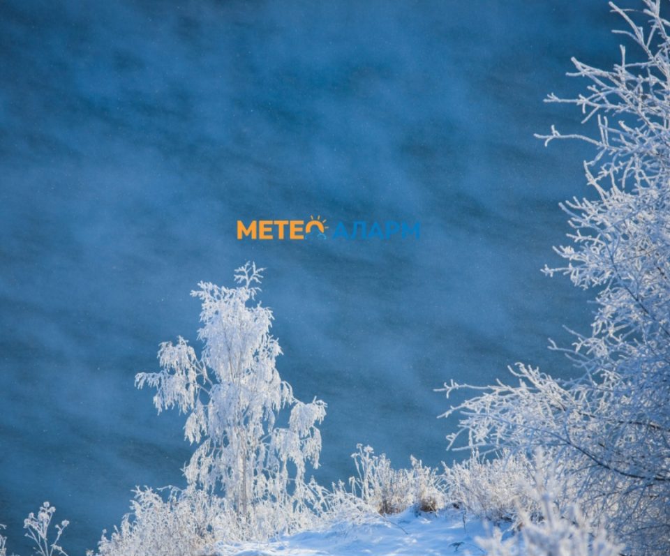 Screenshot 20251106 093643 gallery.jpg