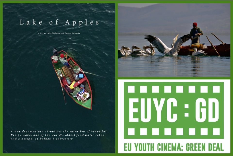 Screenshot 20251124 101120 gallery.jpg