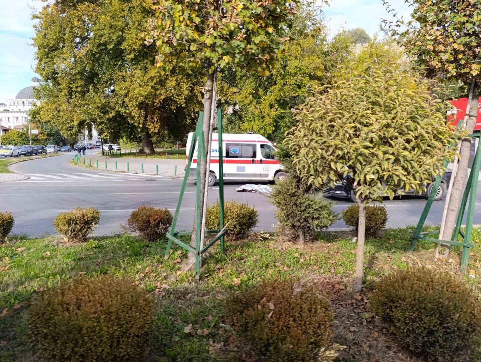 Viber image 2025 11 03 13 05 40 435.jpg