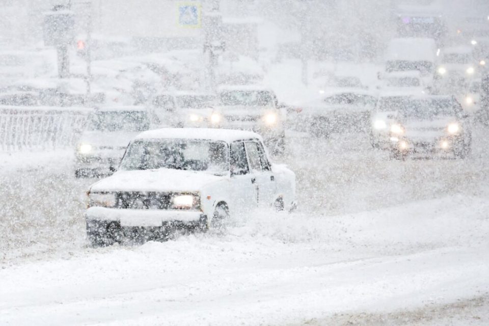 1766837621 profimedia 1044333612 1024x683 1.jpg