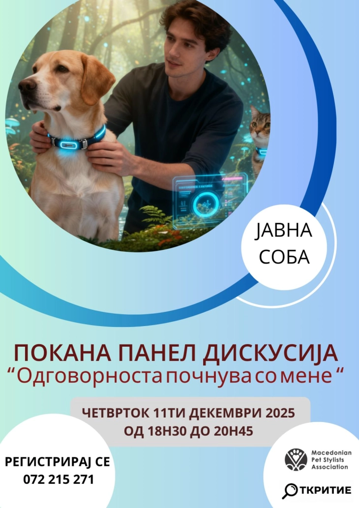 20251207152904 big 730x400 81.webp.webp