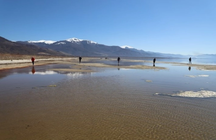 20251215163301 big 730x400 79.webp.webp