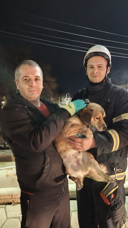 593712596 1412629723554358 3251136494978262088 n.jpg