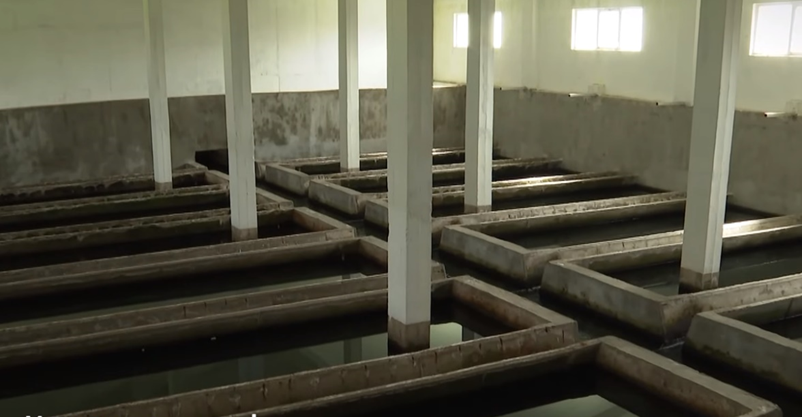 Image 2025 12 11 113226358 e1765449165294.png