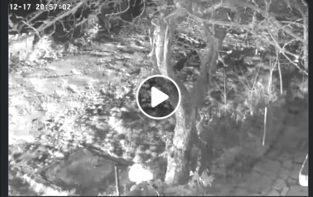 Screenshot 2025 12 23 131756.png