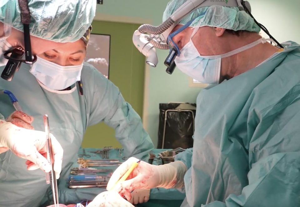 Whatsapp image 2025 12 03 at 15.00.36.jpeg