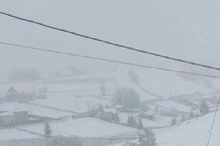 20260105112504 big 730x400 72.webp.webp