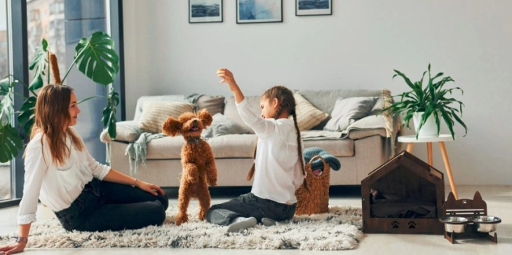 20260108210940 big 730x400 61.webp.webp