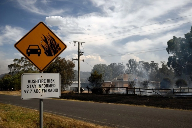 20260110100353 big 730x400 9.webp.webp