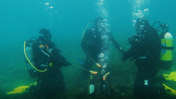 20260113104710 big 730x400 54.webp.webp