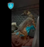 20260125115907 big 730x400 75.webp.webp