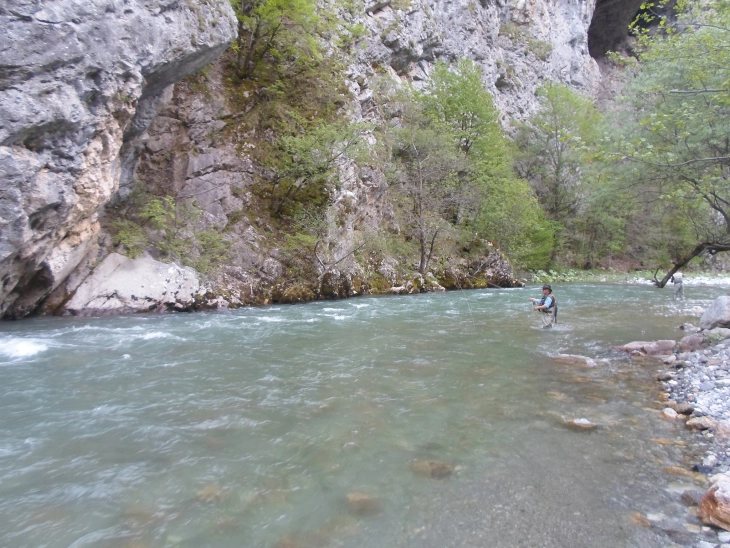 20260131082033 big 730x400 41.webp.webp