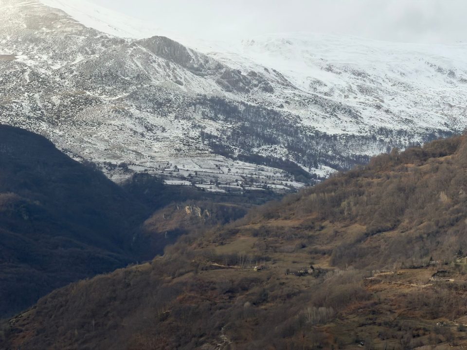 25b58079 ceb8 4cb3 a30f bfedff91a47d.jpeg