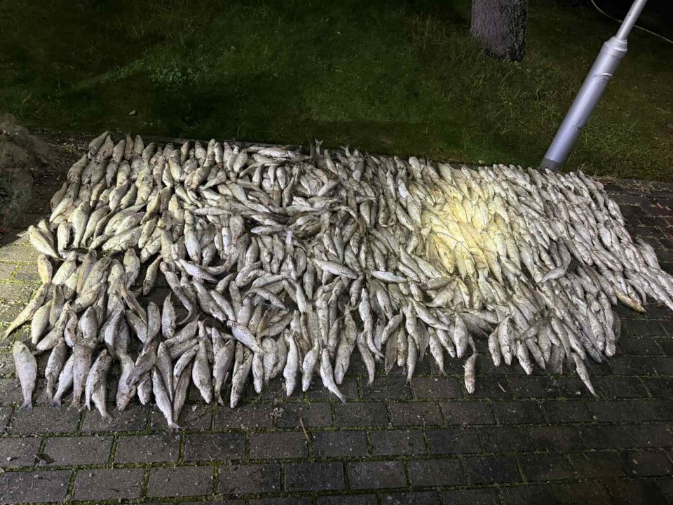 612128799 1180887934221732 2013532325772350507 n.jpg