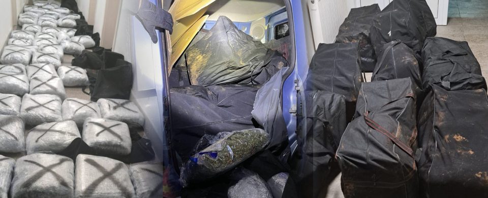 623099194 1194574836186375 8338275825154313234 n.jpg