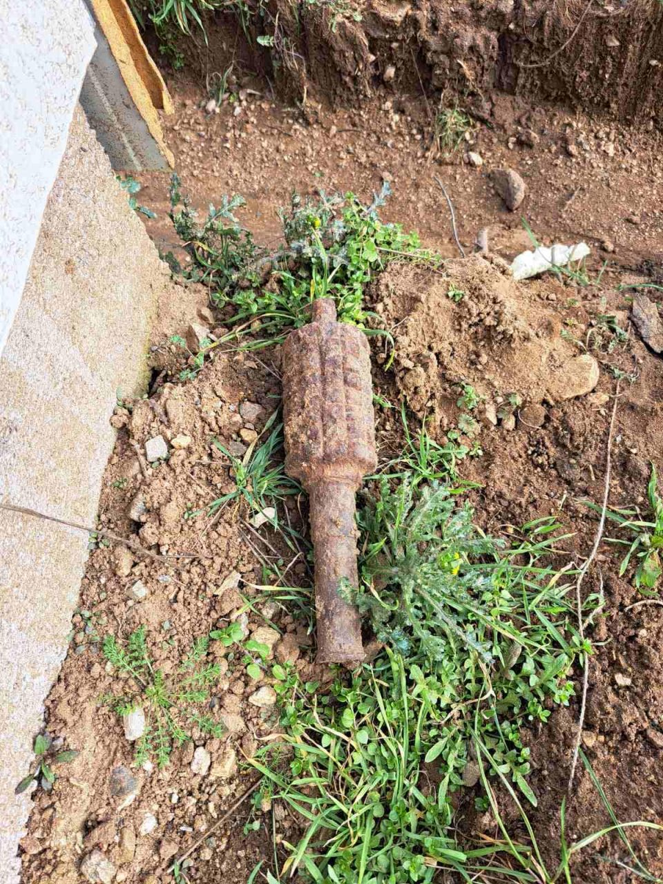 Aa915049 8401 4084 b960 5a1bf5fa3baf.jpg