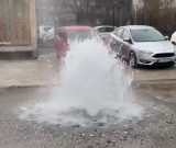 Fd2ff8a3 cad1 43f4 877f 52cba970fbda.jpeg