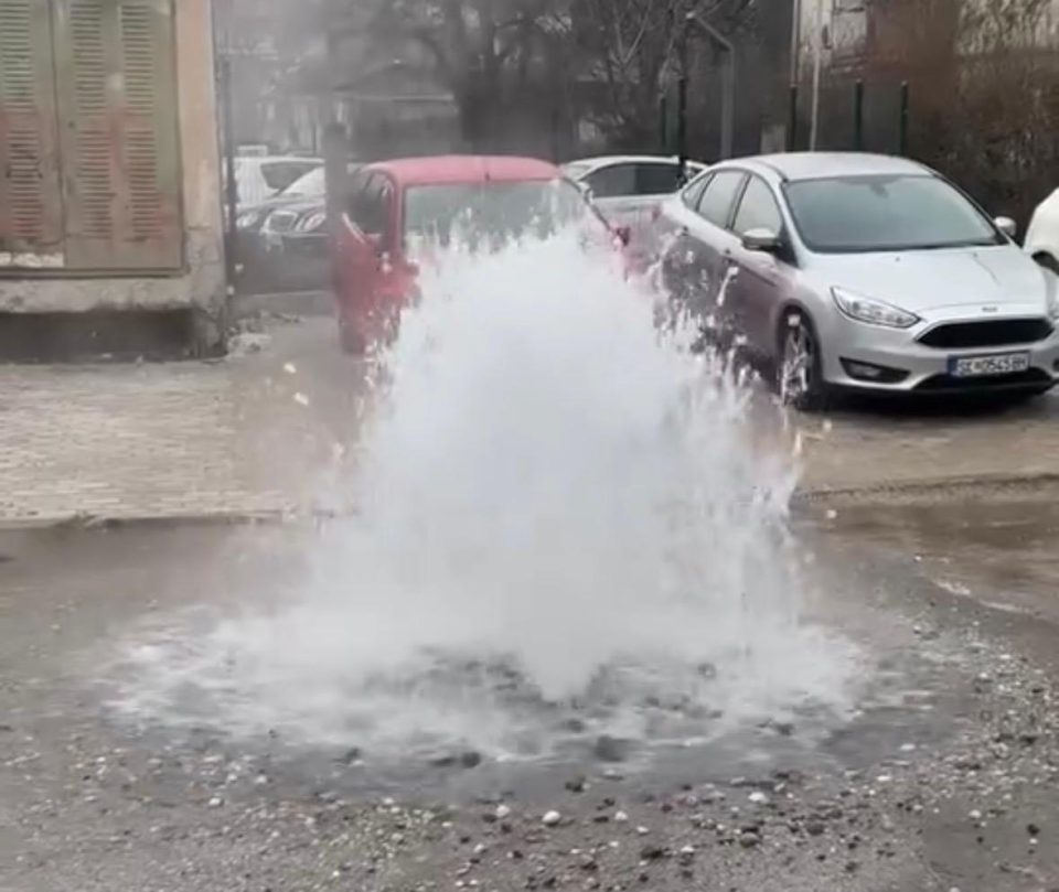 Fd2ff8a3 cad1 43f4 877f 52cba970fbda.jpeg