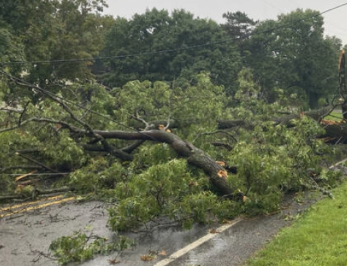 Image 2026 01 03 202507384.png