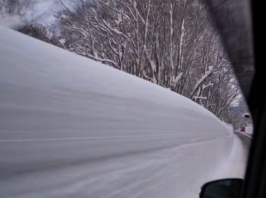 Image 2026 01 10 082440036.png