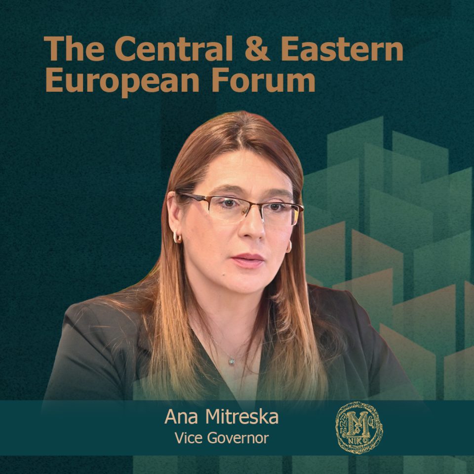 The central eastern european forum.jpg