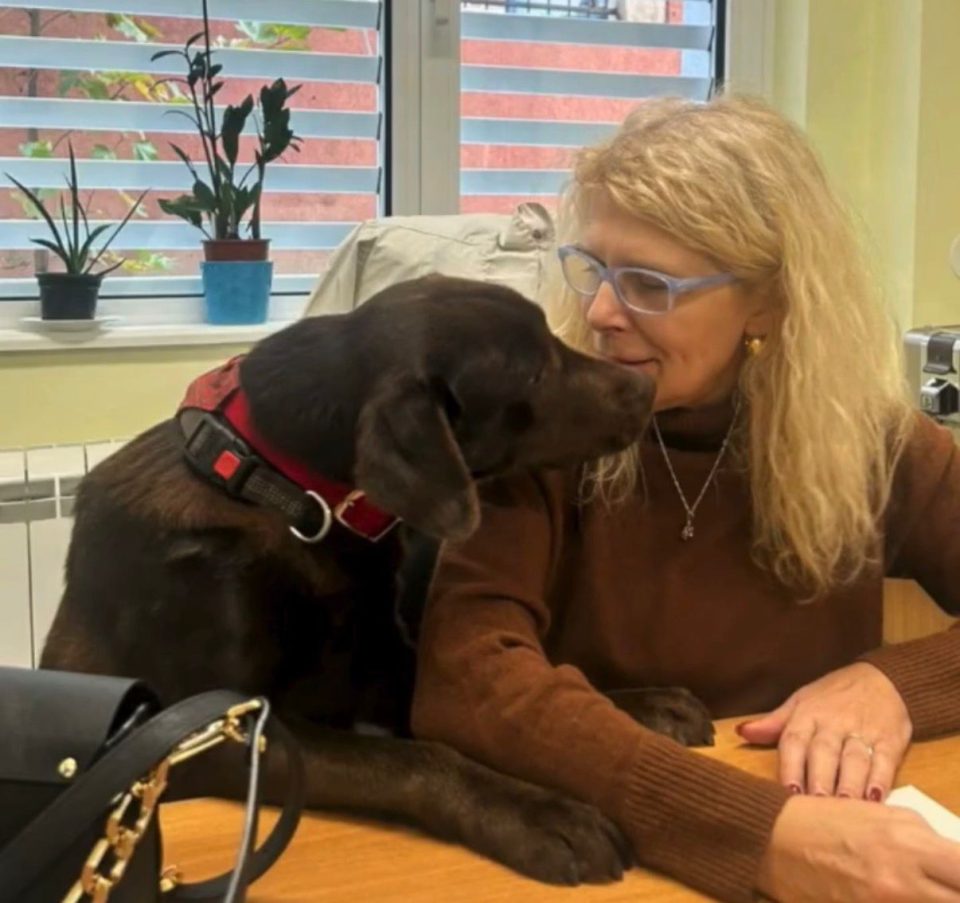 Whatsapp image 2026 01 15 at 13.33.22.jpeg