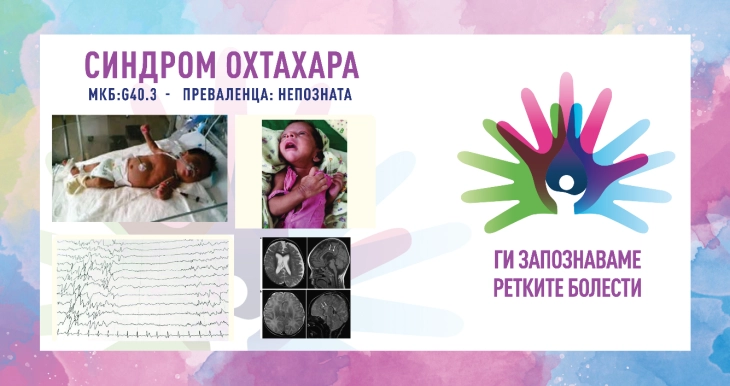 20260203080816 big 730x400 83.webp.webp