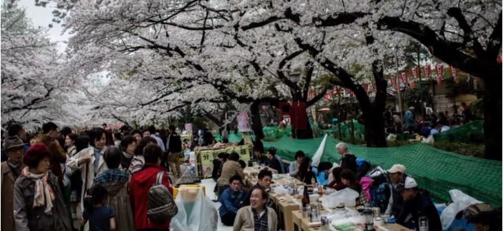 20260206095153 big 730x400 59.webp.webp