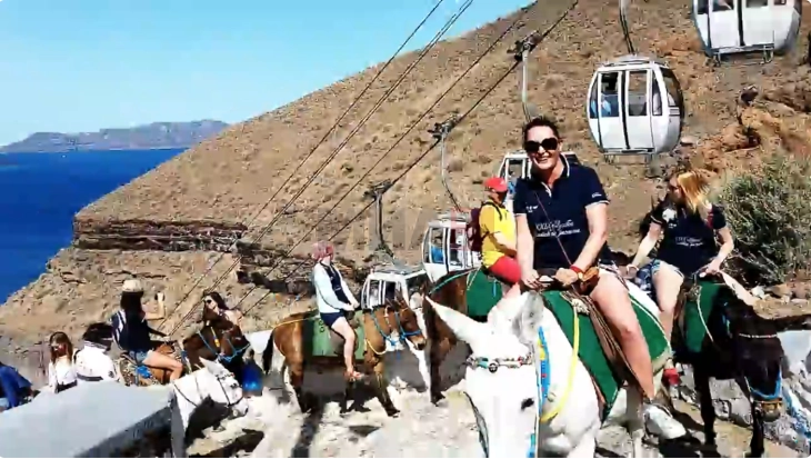 20260213095211 big 730x400 34 1.webp.webp