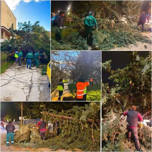 636597559 1451002409986377 868700587303168575 n.jpg