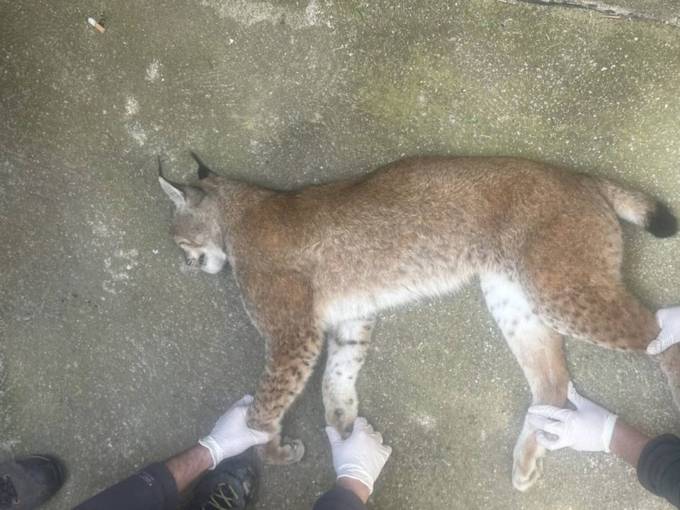 641350652 1385632590270731 1275361331771310314 n.jpg