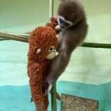 641360321 18317151805266005 3678600545766077281 n.jpg