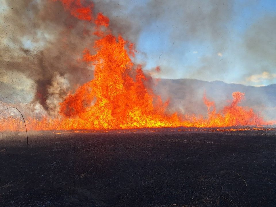 642479703 1340848468075865 6119368662753258397 n.jpg