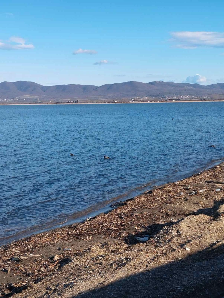 Dojransko ezero.webp.webp