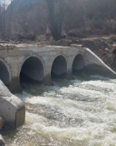 Image 2026 02 06 111127527.png