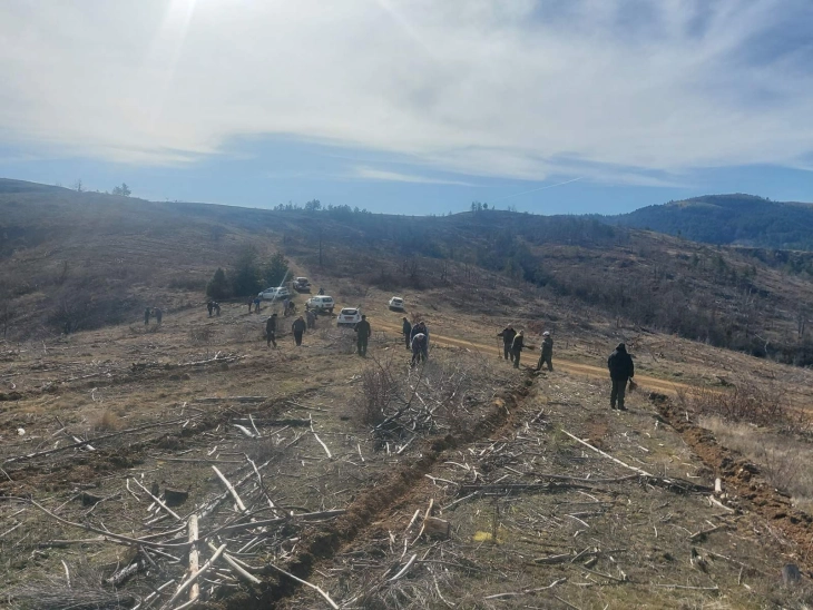 20260303181606 big 730x400 50.webp.webp